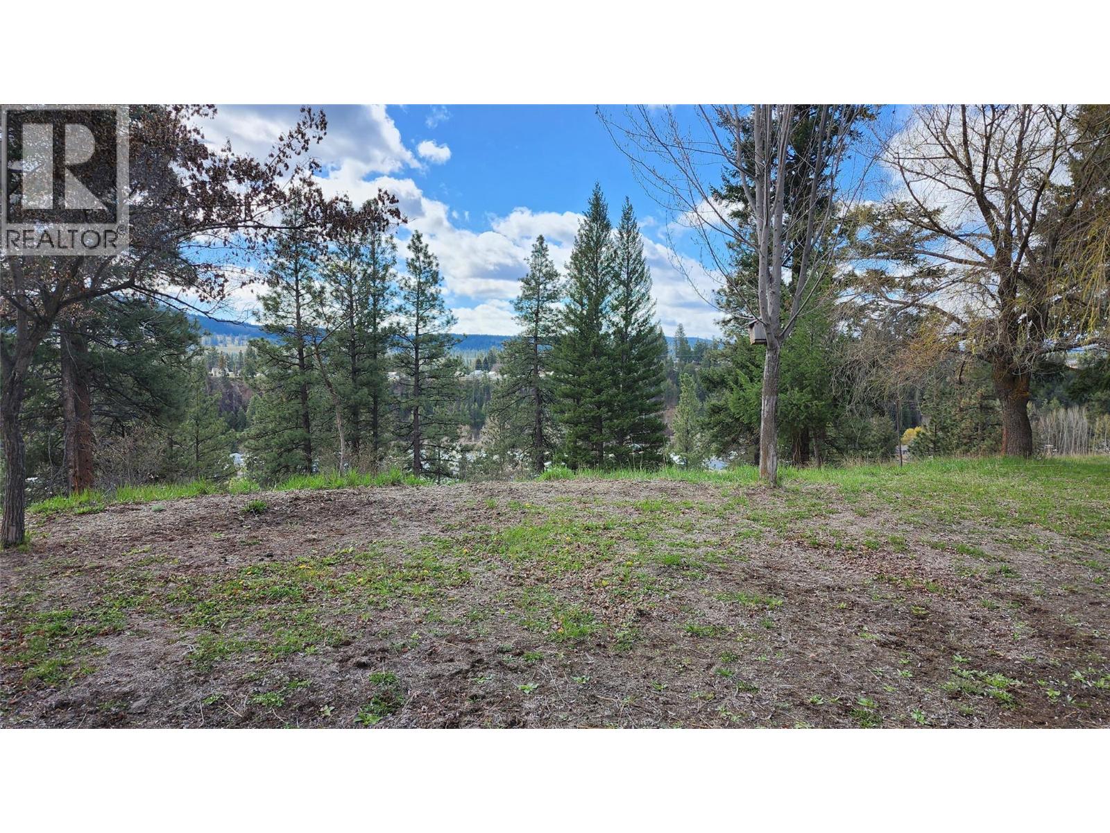 306 Jacobson Road, Princeton, British Columbia V0X 1W0 - Photo 10 - 10395045