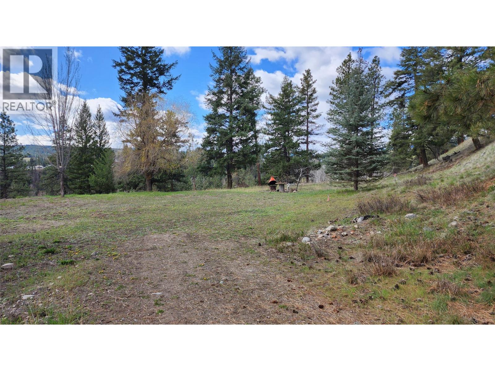 306 Jacobson Road, Princeton, British Columbia V0X 1W0 - Photo 6 - 10395045