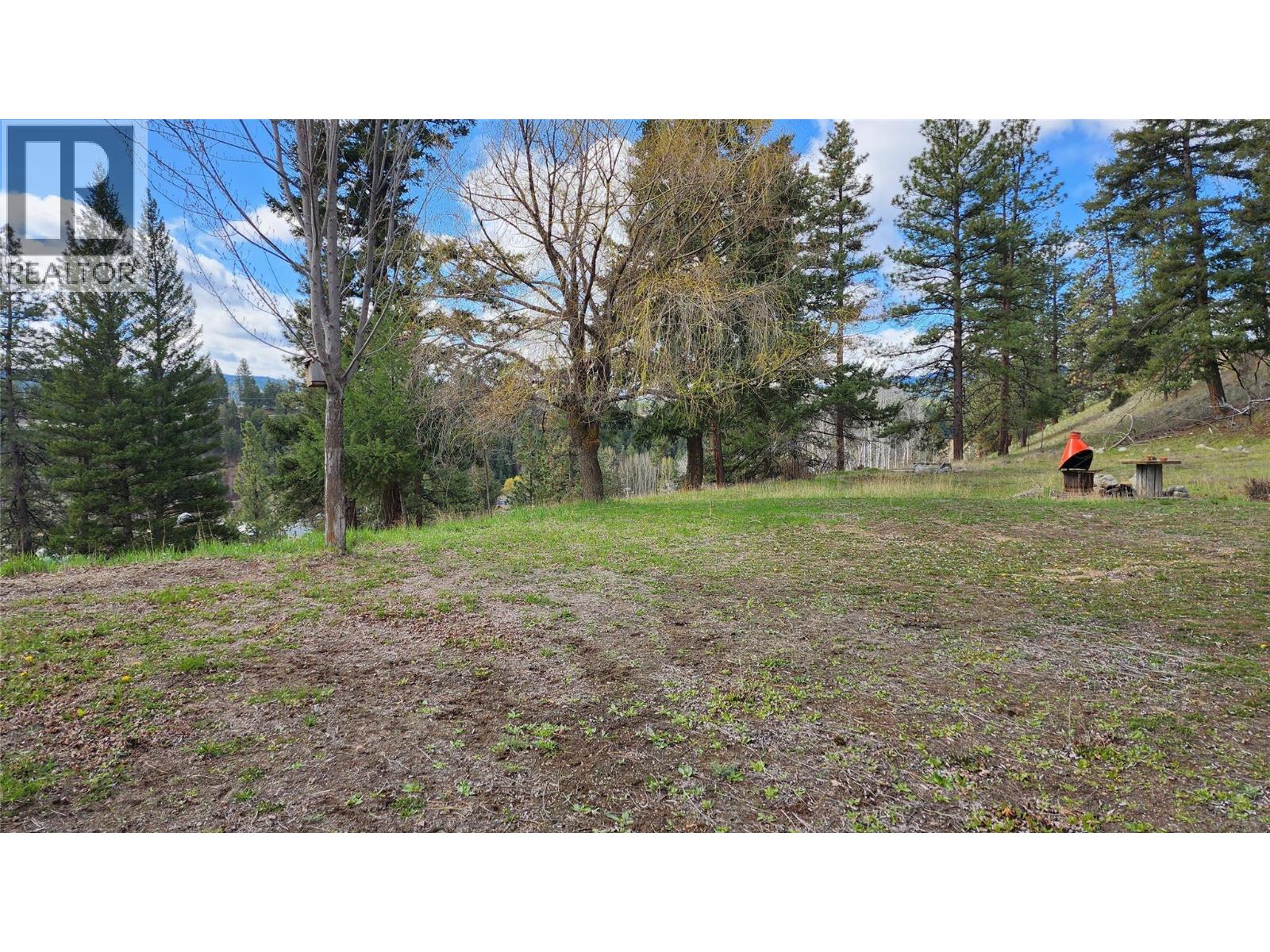 306 Jacobson Road, Princeton, British Columbia V0X 1W0 - Photo 11 - 10395045