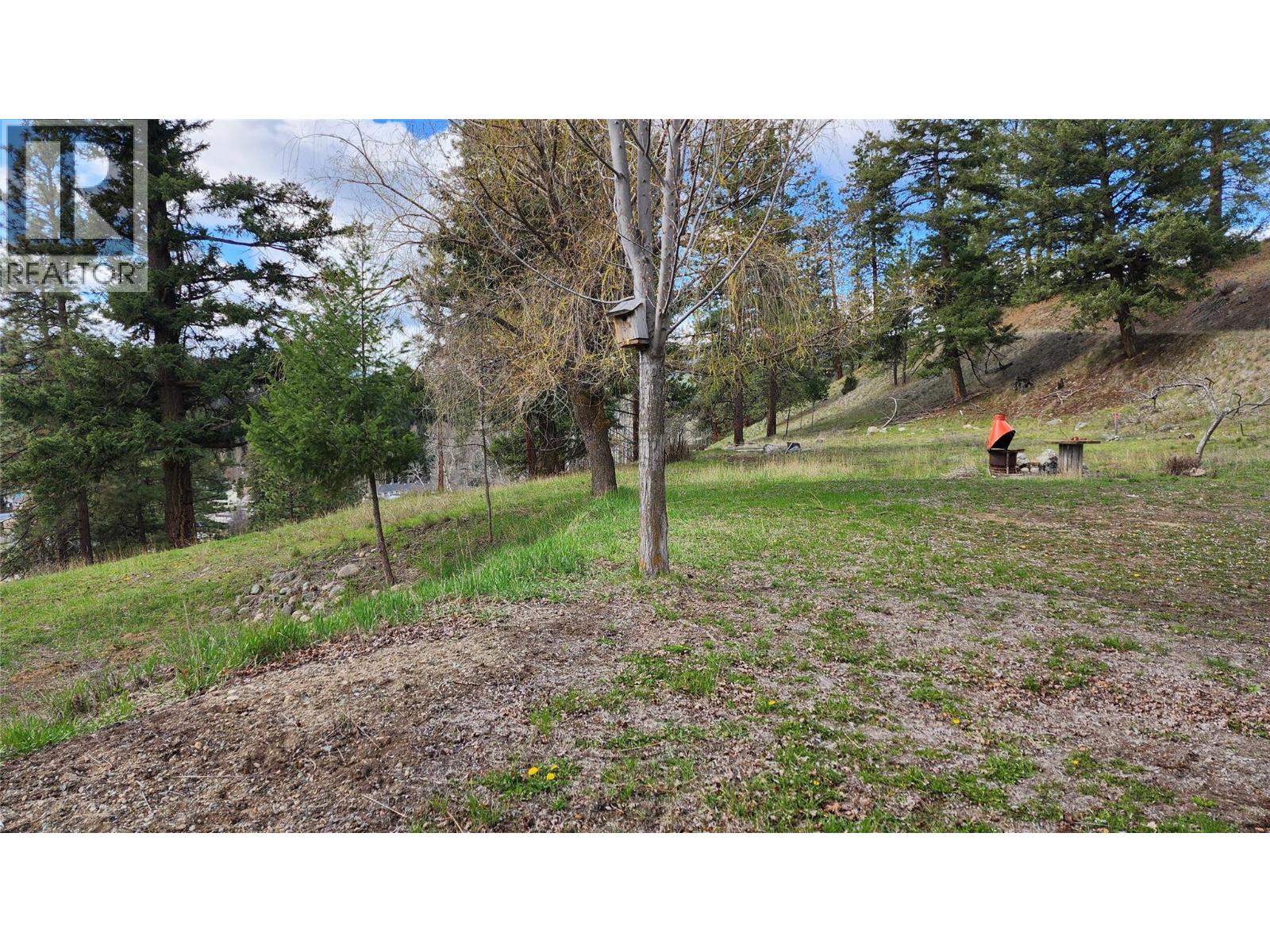 306 Jacobson Road, Princeton, British Columbia V0X 1W0 - Photo 15 - 10395045