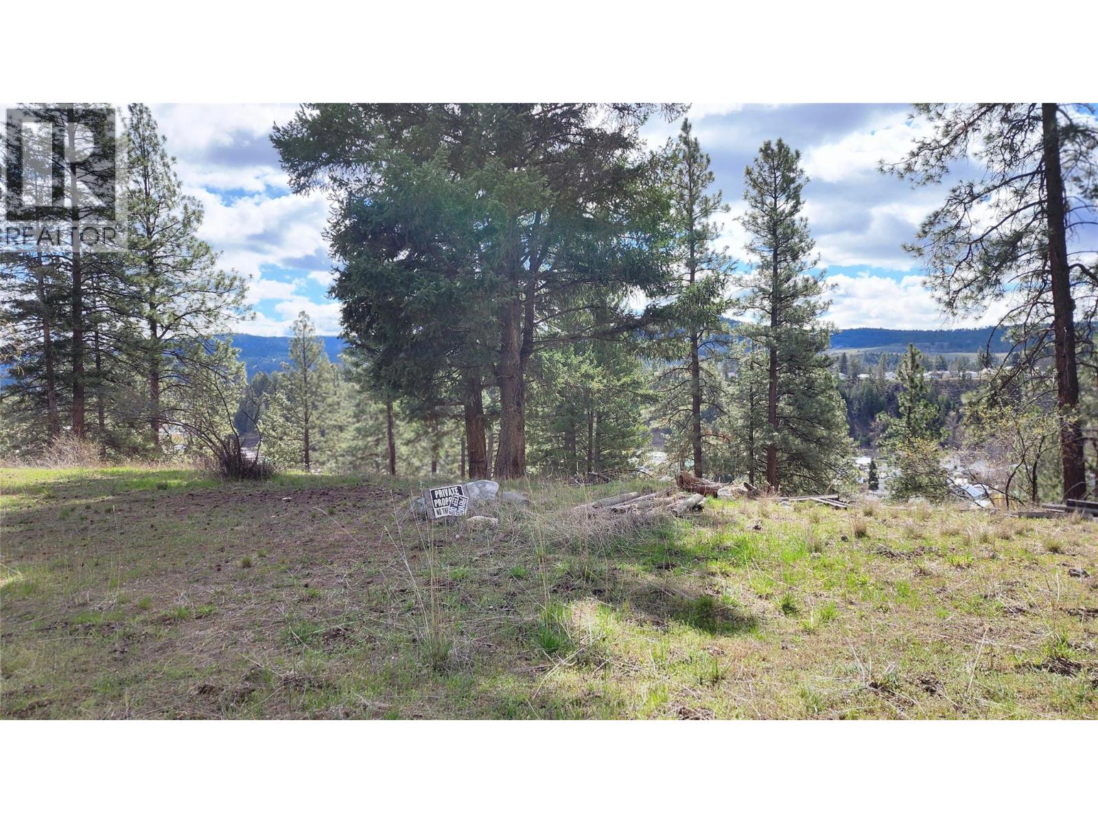 306 Jacobson Road, Princeton, British Columbia V0X 1W0 - Photo 26 - 10395045