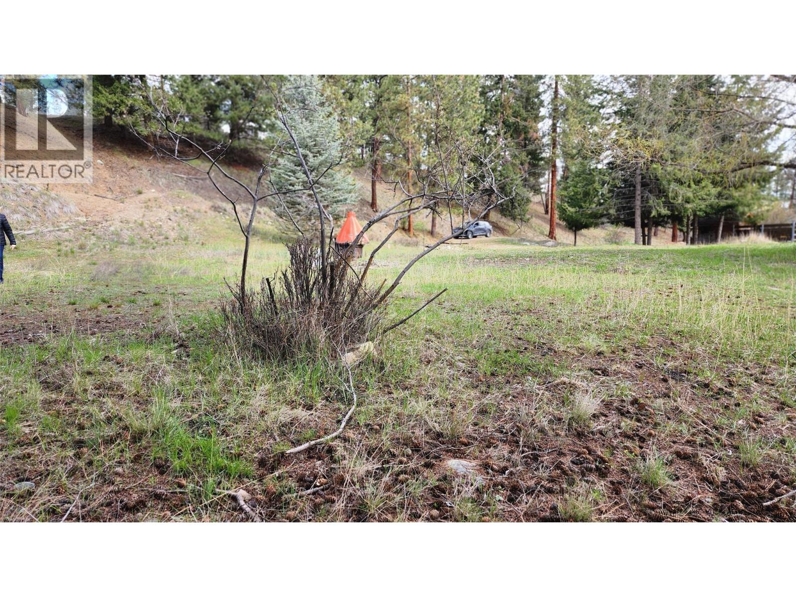 306 Jacobson Road, Princeton, British Columbia V0X 1W0 - Photo 32 - 10395045