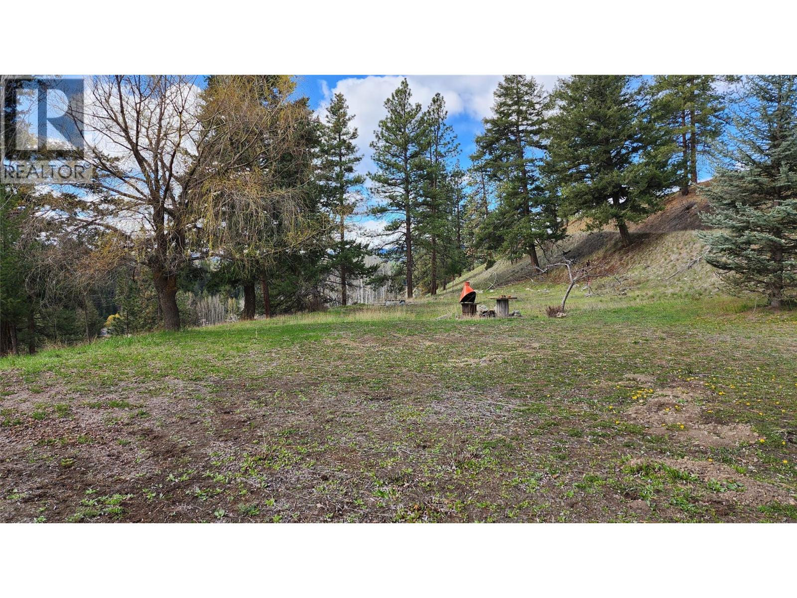 306 Jacobson Road, Princeton, British Columbia V0X 1W0 - Photo 12 - 10395045