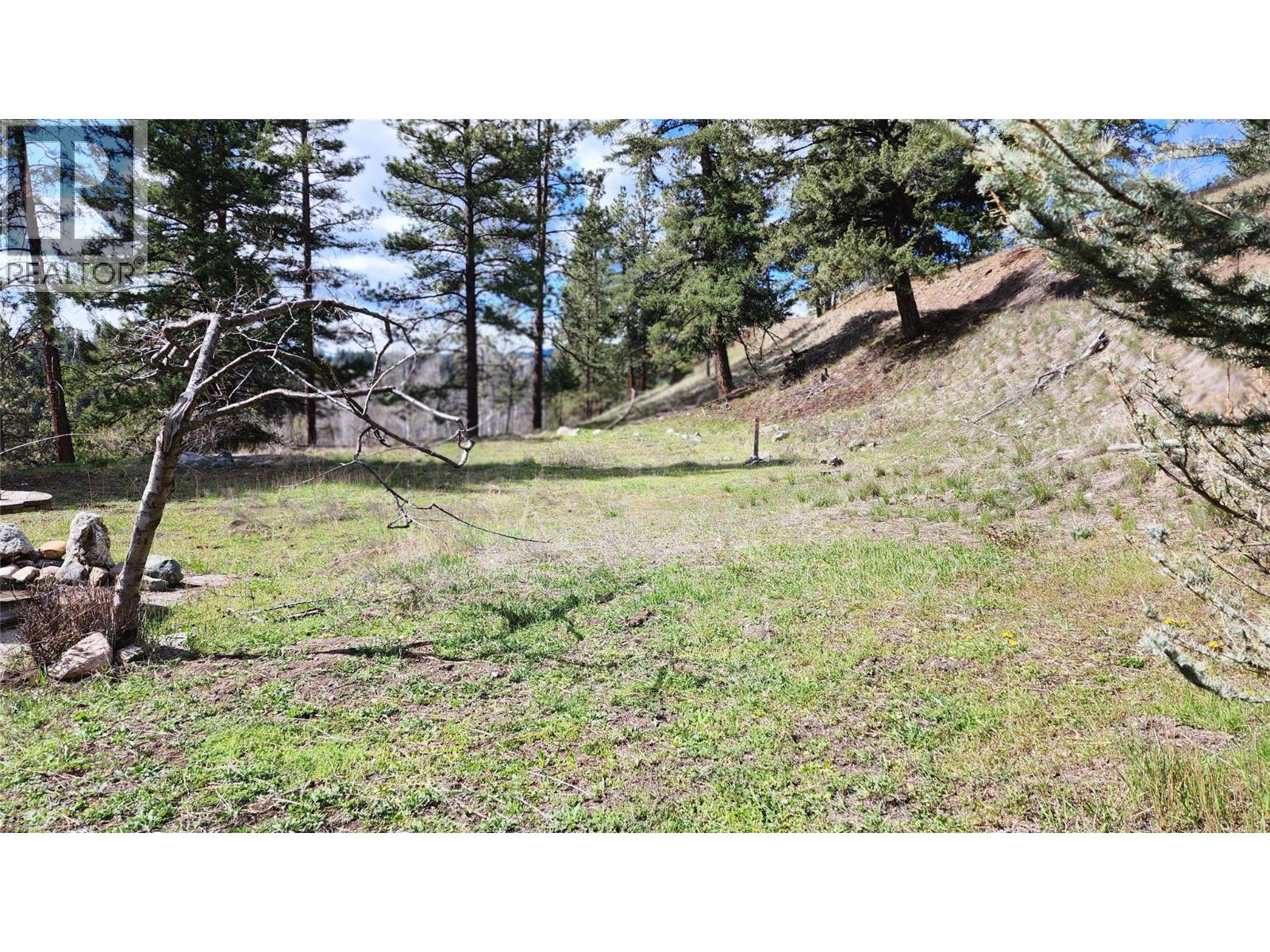 306 Jacobson Road, Princeton, British Columbia V0X 1W0 - Photo 23 - 10395045
