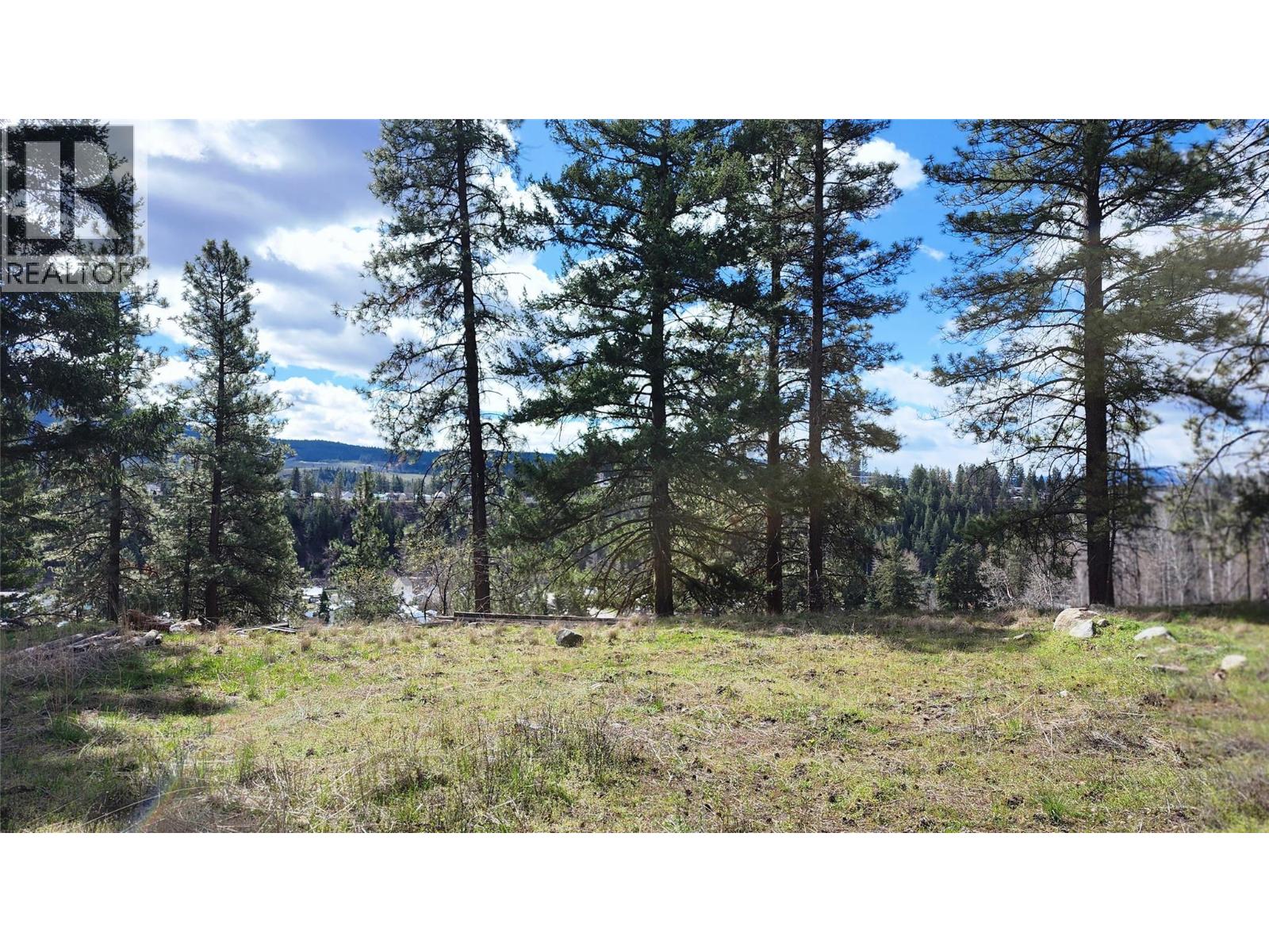 306 Jacobson Road, Princeton, British Columbia V0X 1W0 - Photo 25 - 10395045