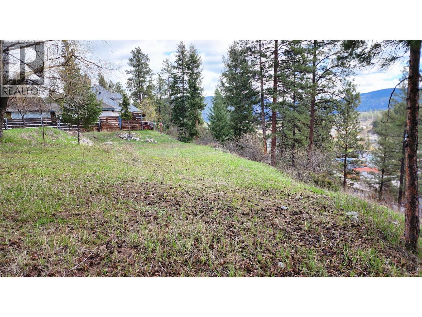 306 Jacobson Road, Princeton, British Columbia V0X 1W0 - Photo 30 - 10395045