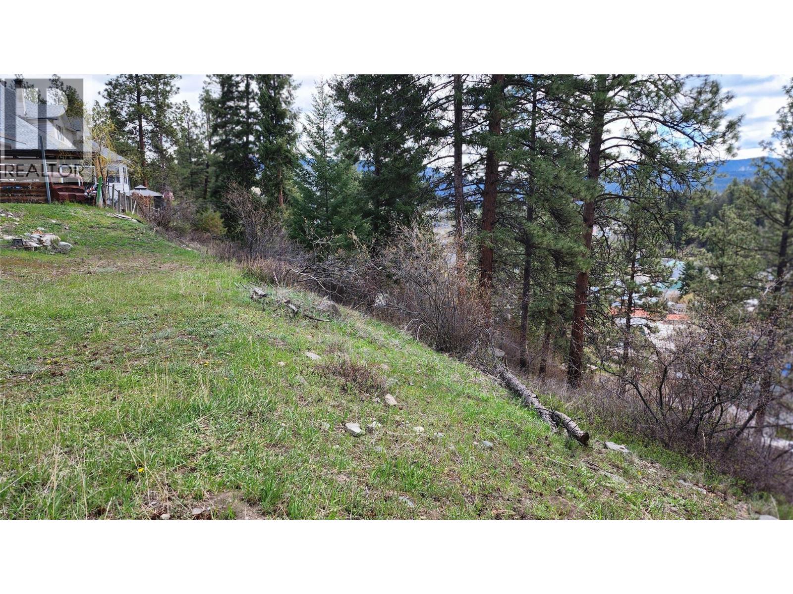 306 Jacobson Road, Princeton, British Columbia V0X 1W0 - Photo 37 - 10395045