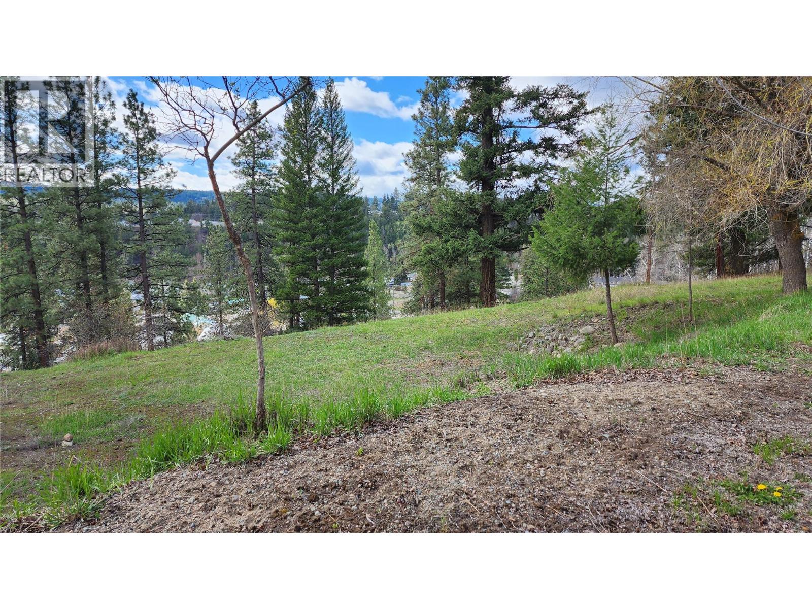 306 Jacobson Road, Princeton, British Columbia V0X 1W0 - Photo 14 - 10395045