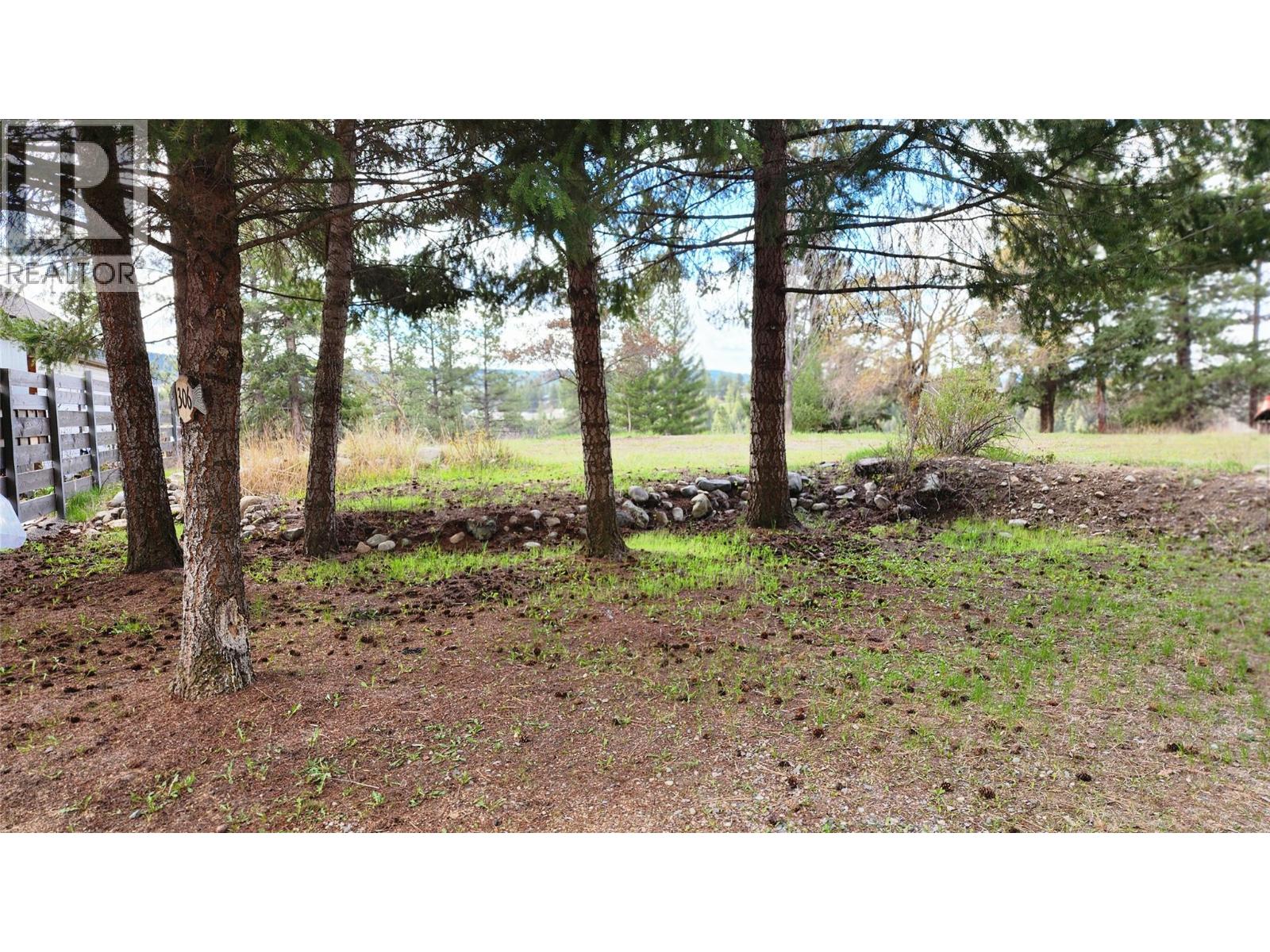 306 Jacobson Road, Princeton, British Columbia V0X 1W0 - Photo 18 - 10395045