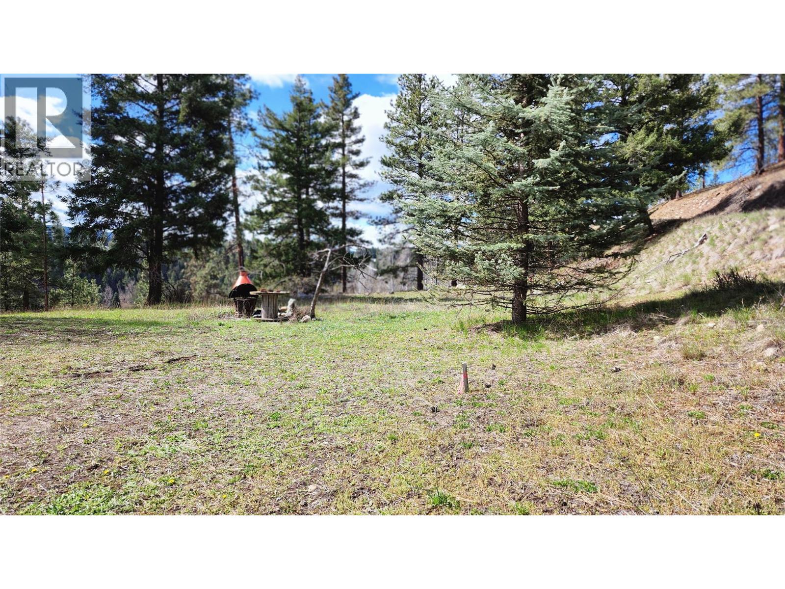 306 Jacobson Road, Princeton, British Columbia V0X 1W0 - Photo 20 - 10395045