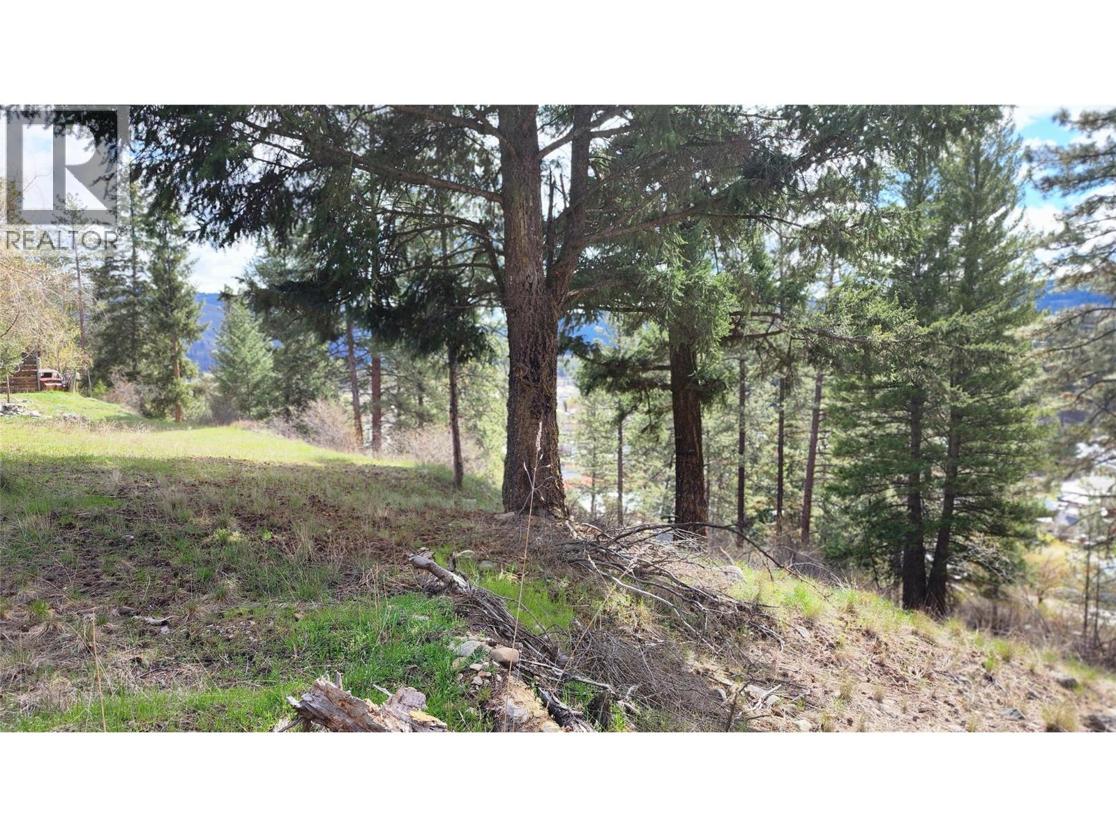 306 Jacobson Road, Princeton, British Columbia V0X 1W0 - Photo 27 - 10395045