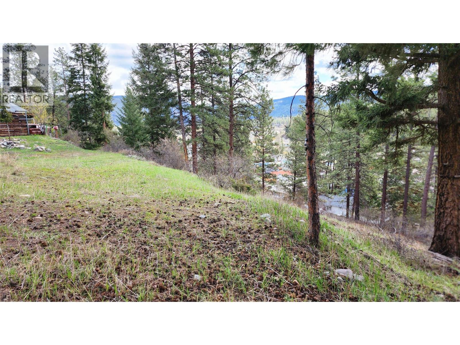 306 Jacobson Road, Princeton, British Columbia V0X 1W0 - Photo 29 - 10395045