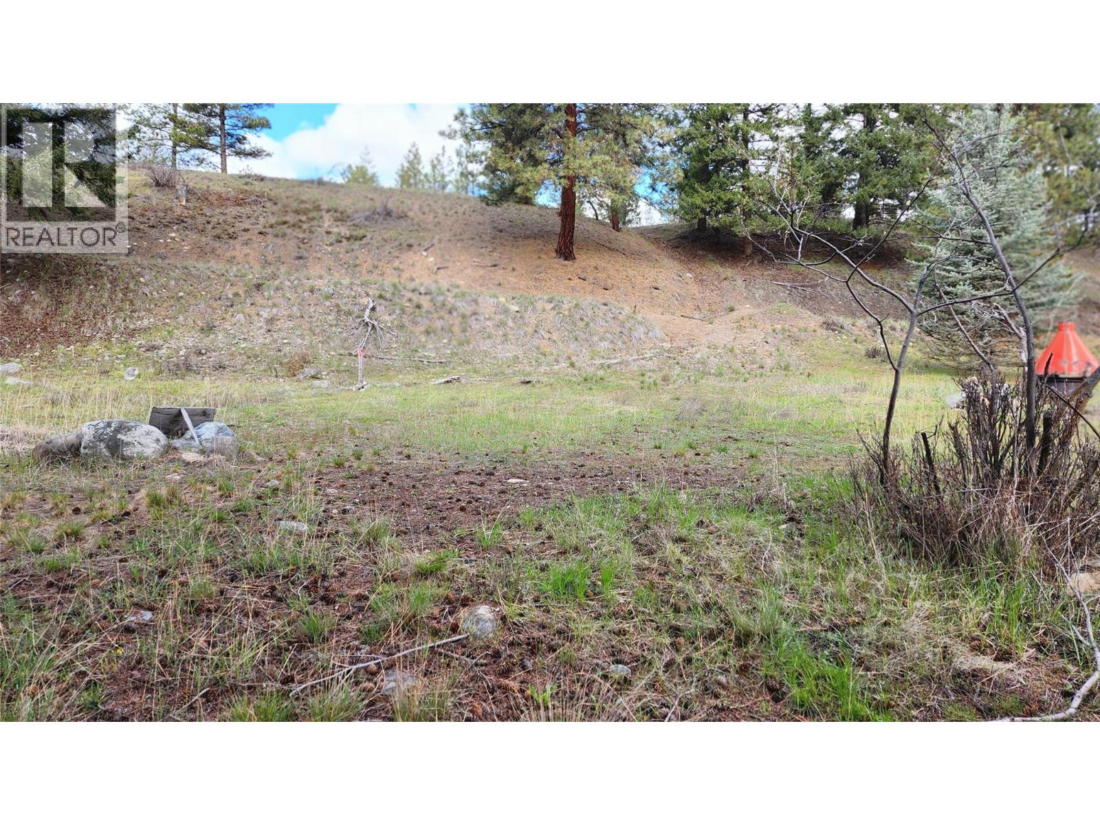 306 Jacobson Road, Princeton, British Columbia V0X 1W0 - Photo 33 - 10395045