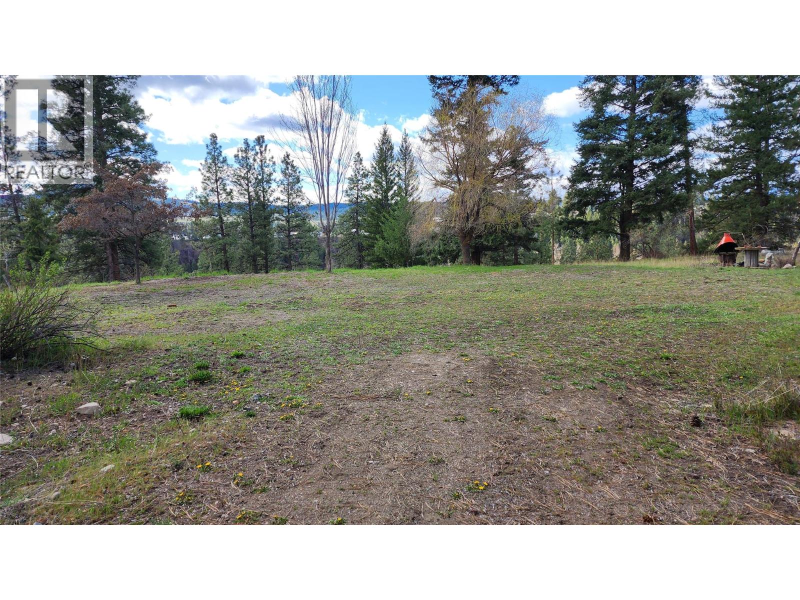 306 Jacobson Road, Princeton, British Columbia V0X 1W0 - Photo 9 - 10395045