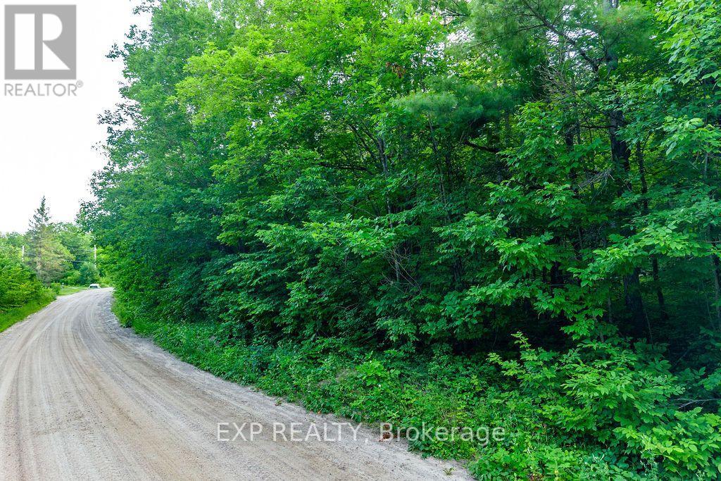 00 Mine View Road, Whitewater Region, Ontario K0J 1Y0 - Photo 2 - X12742434