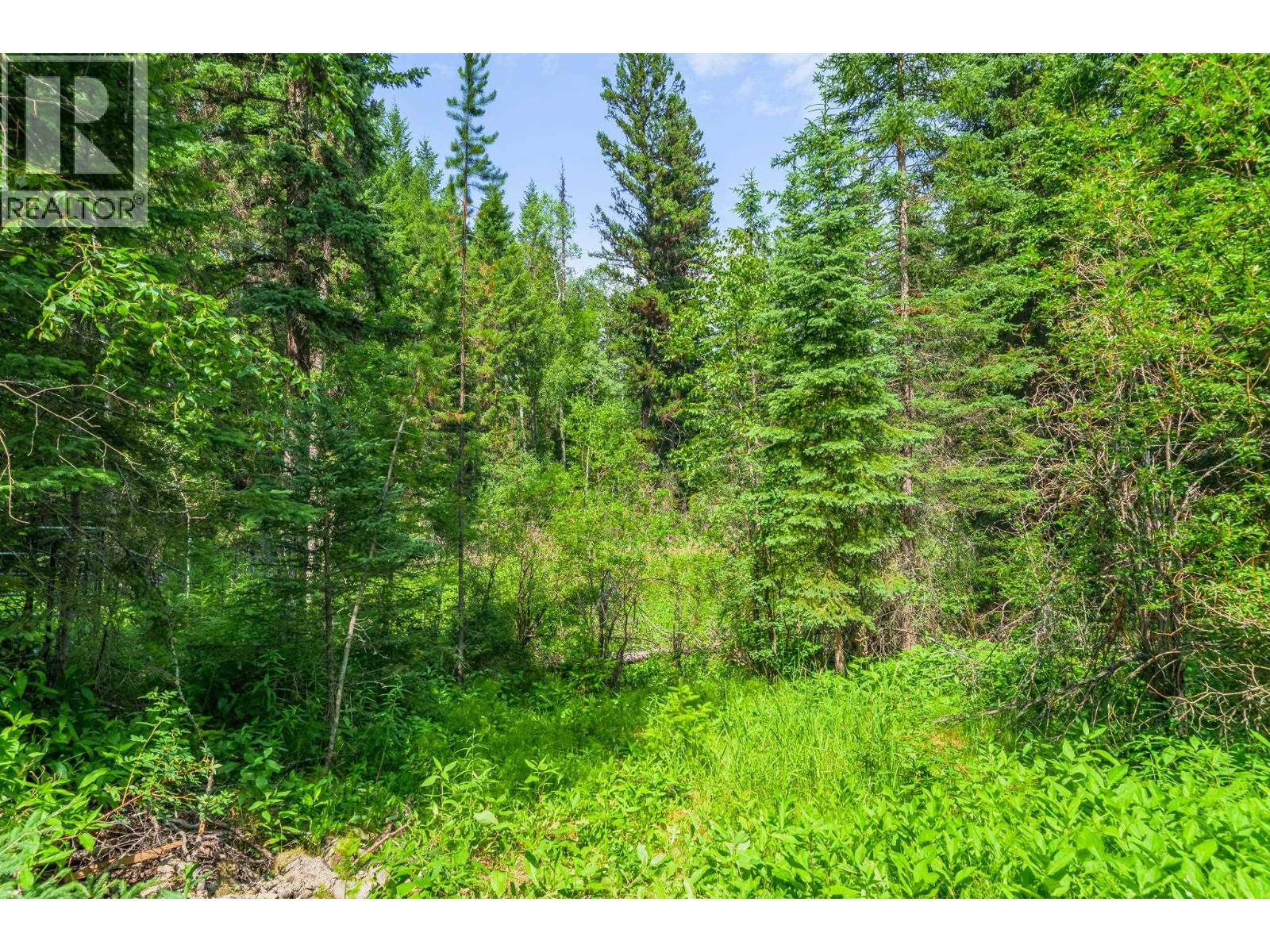 3669 Bradley Creek Road, Forest Grove, British Columbia  V0K 1M0 - Photo 17 - R3147434
