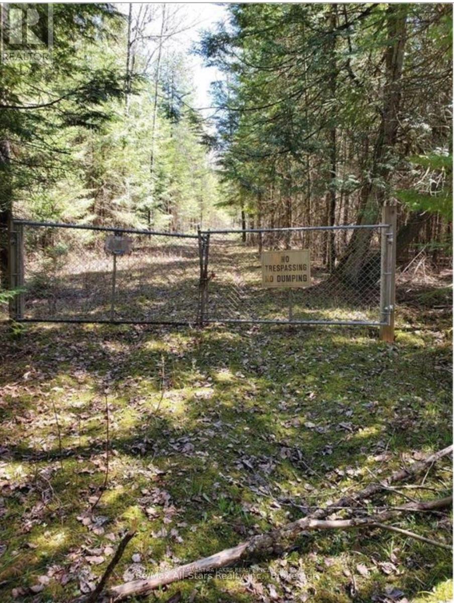 Lot 4 Maritime Road, Kawartha Lakes (Bexley), Ontario K0M 2B0 - Photo 4 - X13577336