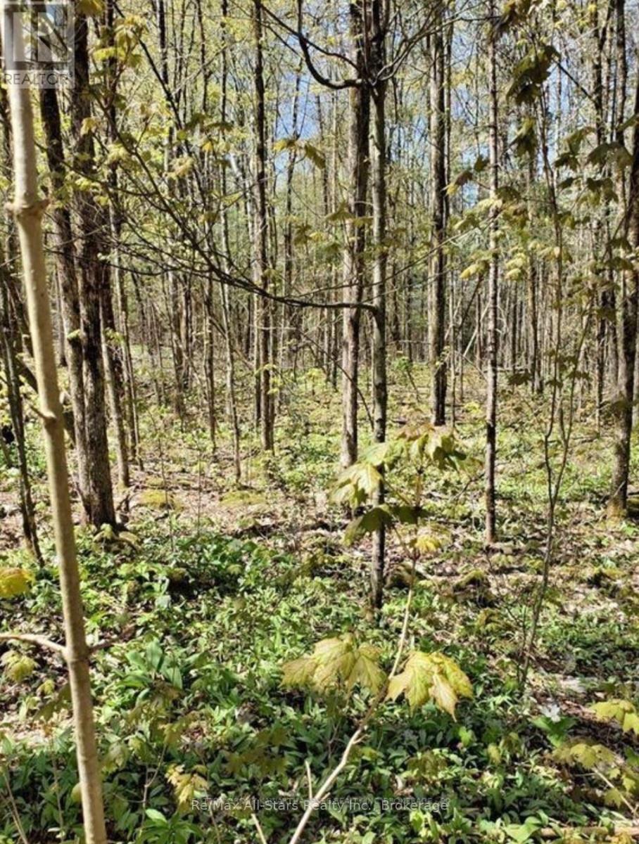 Lot 4 Maritime Road, Kawartha Lakes (Bexley), Ontario K0M 2B0 - Photo 5 - X13577336
