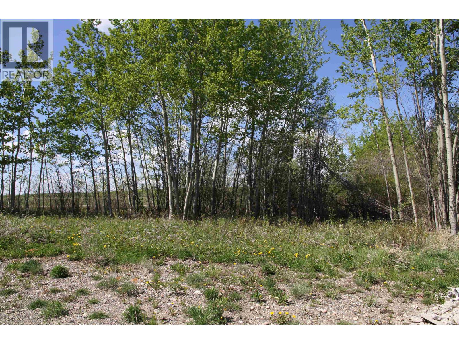 4644 Baldonnel Road, Fort St. John, British Columbia  V0C 1C1 - Photo 7 - R3147398