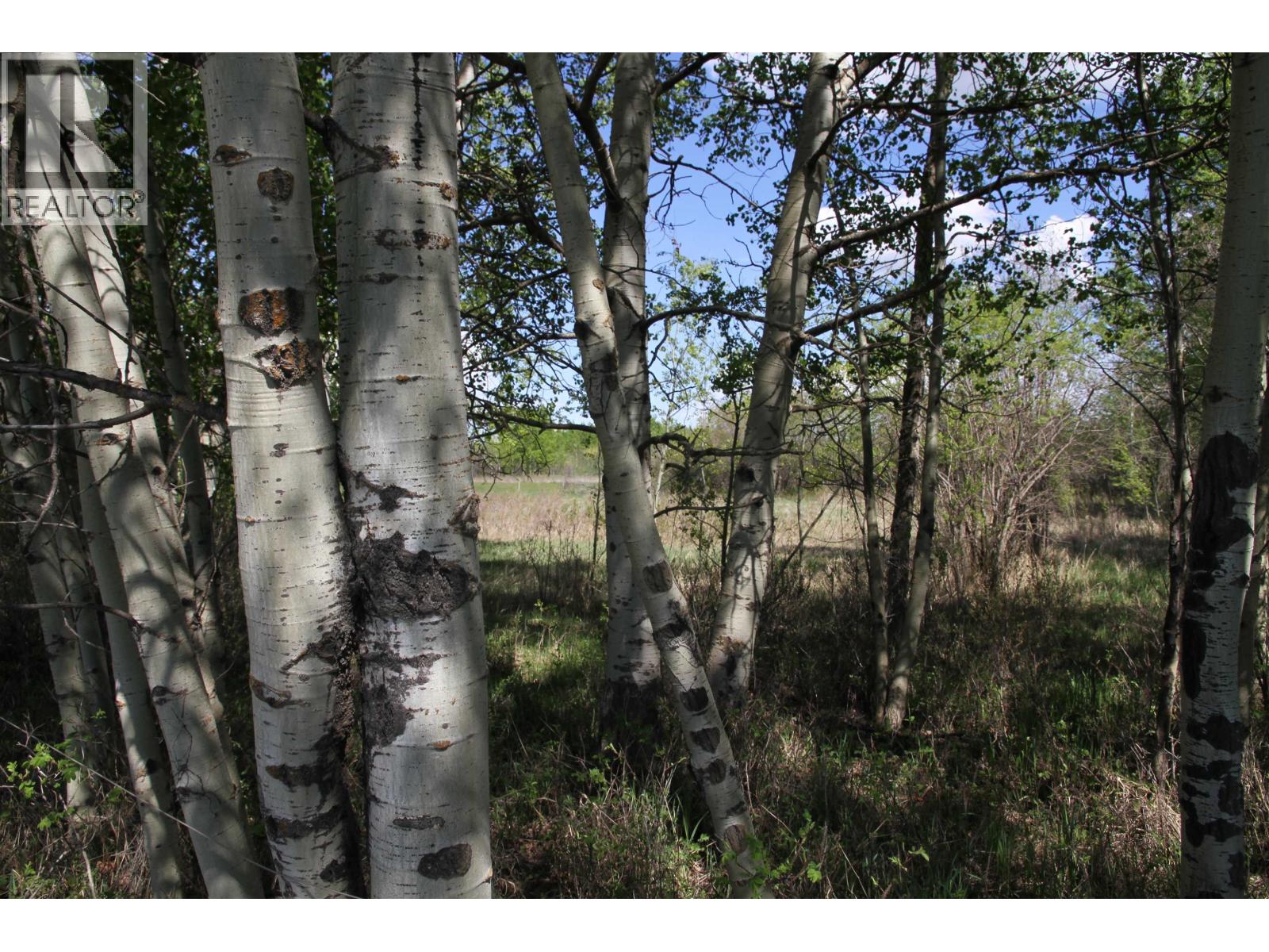 4644 Baldonnel Road, Fort St. John, British Columbia  V0C 1C1 - Photo 10 - R3147398