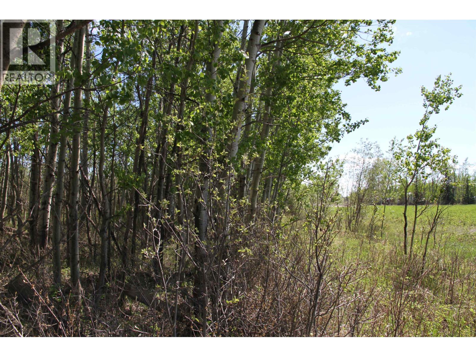 4644 Baldonnel Road, Fort St. John, British Columbia  V0C 1C1 - Photo 13 - R3147398