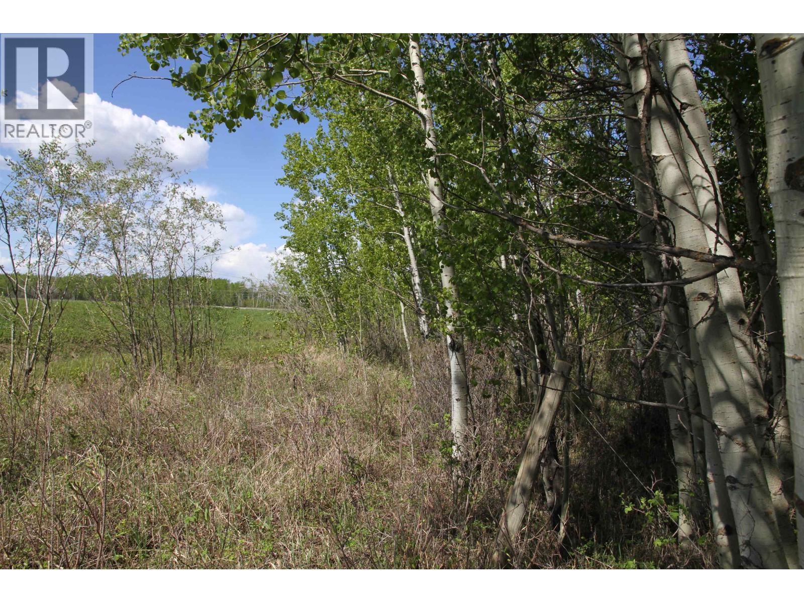4644 Baldonnel Road, Fort St. John, British Columbia  V0C 1C1 - Photo 17 - R3147398