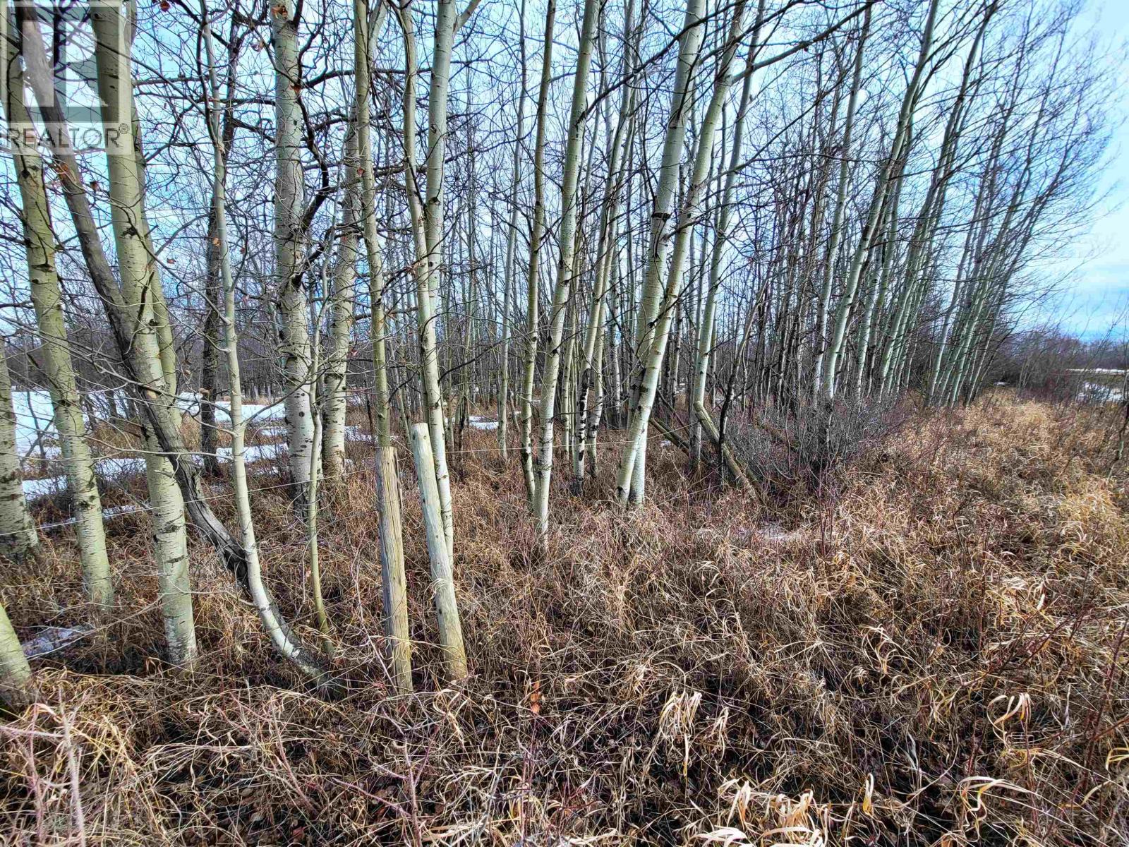 4644 Baldonnel Road, Fort St. John, British Columbia  V0C 1C1 - Photo 20 - R3147398