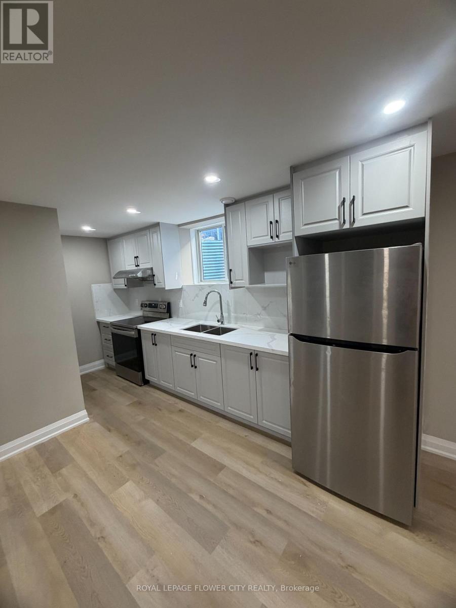 BASEMENT - 3830 PETALPATH WAY, London South, Ontario