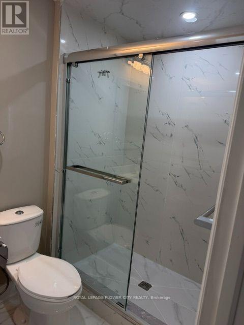 Basement - 3830 Petalpath Way, London South, Ontario  N6P 0J9 - Photo 2 - X13577354