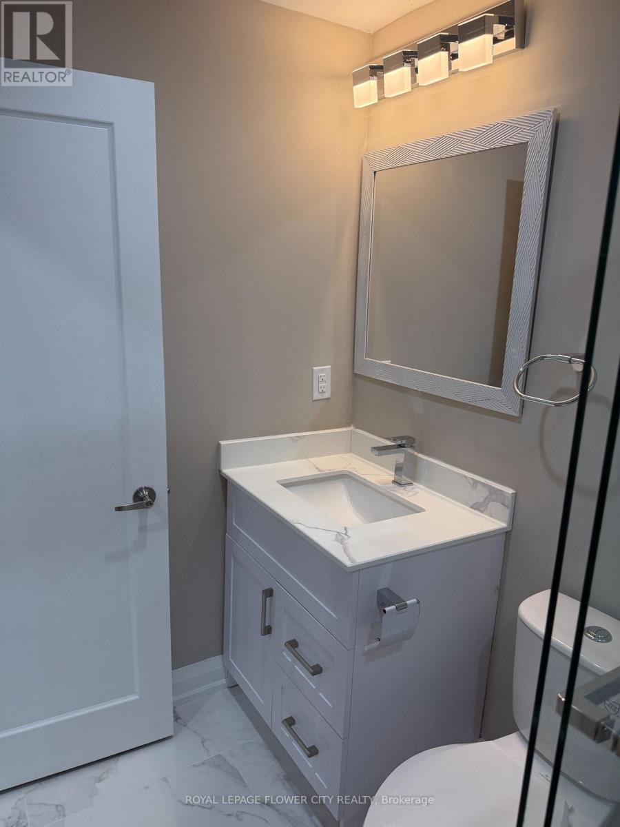Basement - 3830 Petalpath Way, London South, Ontario  N6P 0J9 - Photo 3 - X13577354