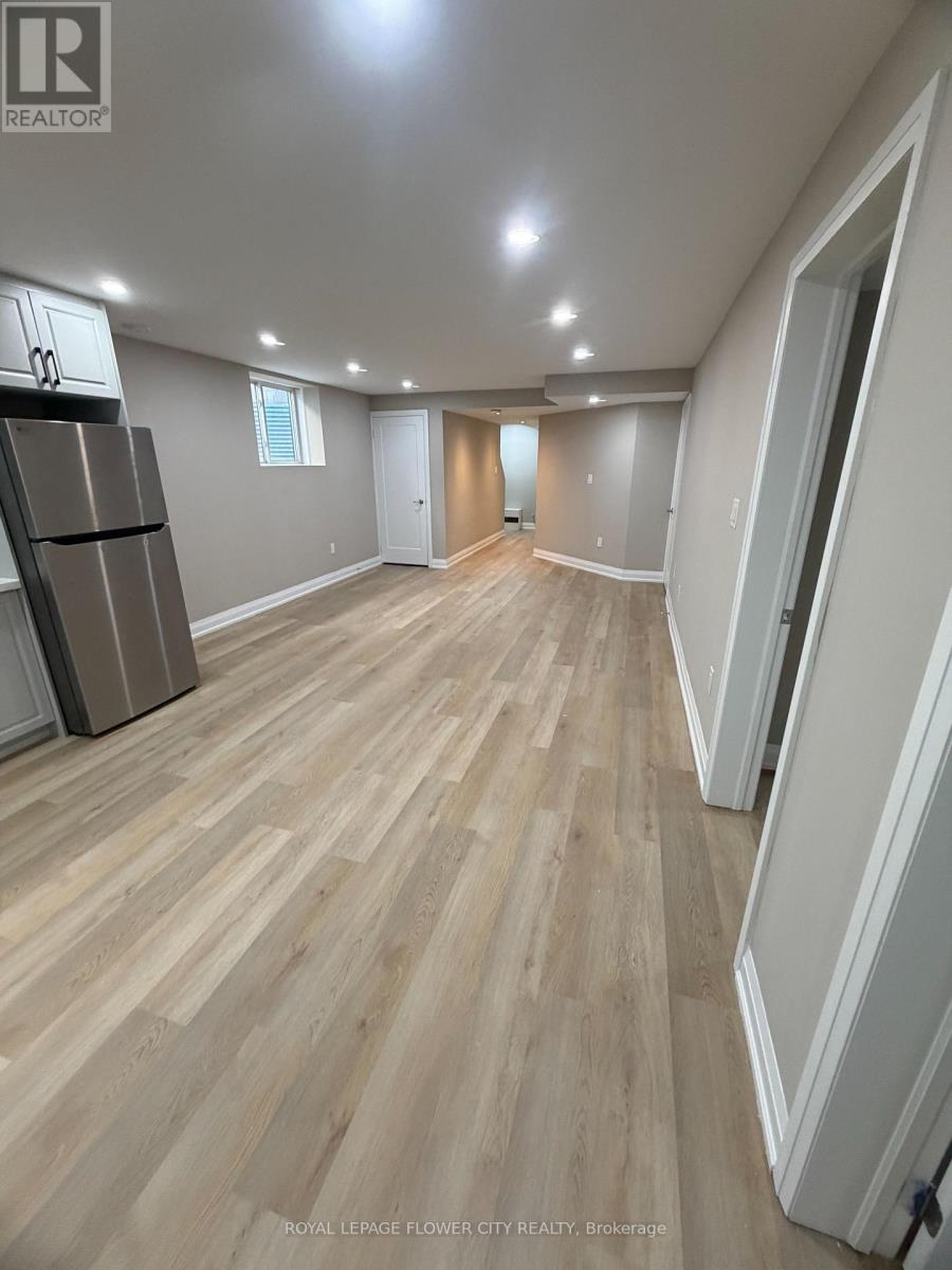 Basement - 3830 Petalpath Way, London South, Ontario  N6P 0J9 - Photo 4 - X13577354
