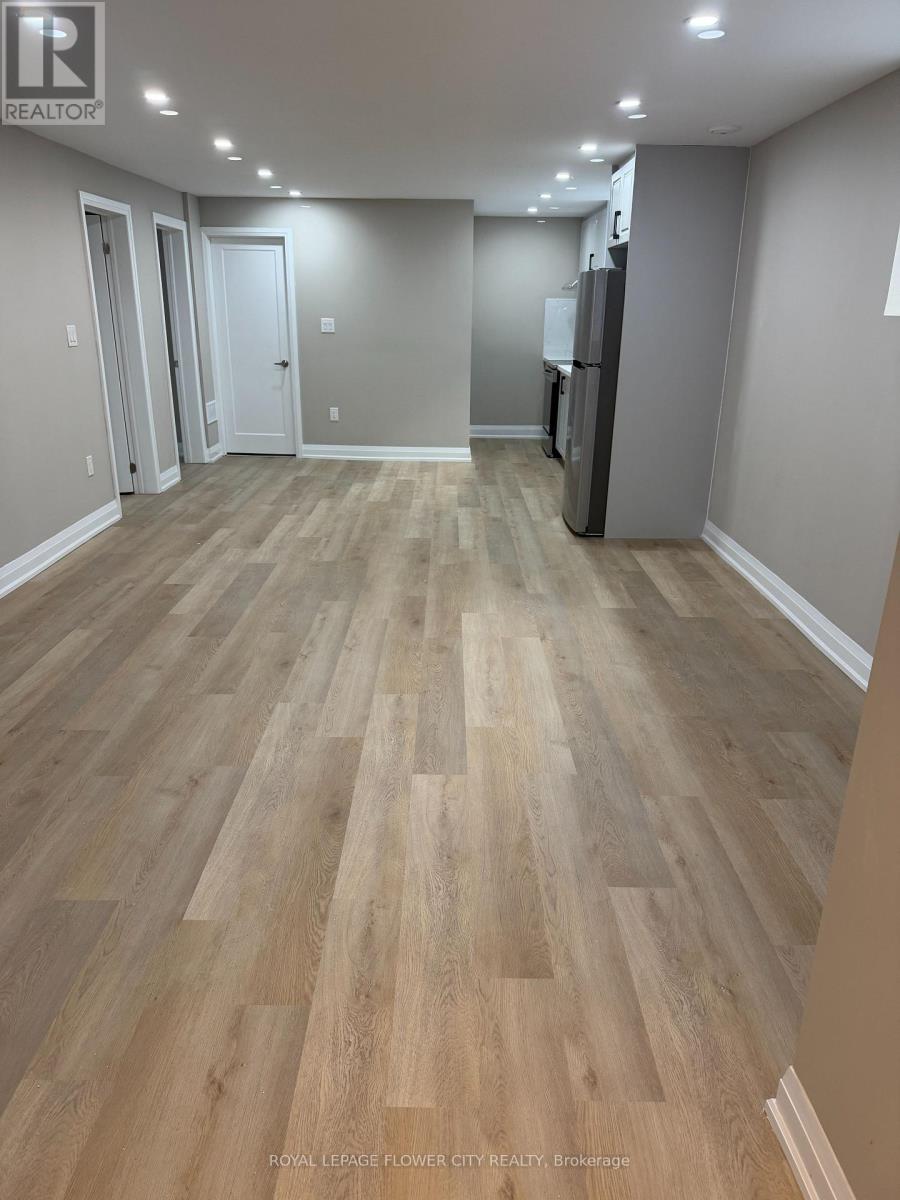 Basement - 3830 Petalpath Way, London South, Ontario  N6P 0J9 - Photo 5 - X13577354