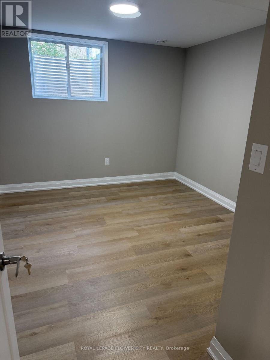 Basement - 3830 Petalpath Way, London South, Ontario  N6P 0J9 - Photo 6 - X13577354
