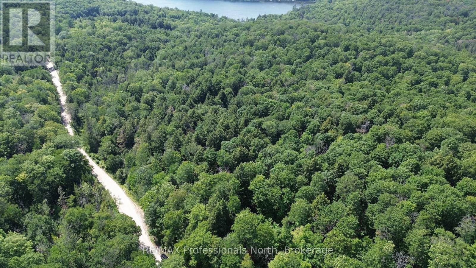 Pl6 Kennaway Road, Dysart Et Al, Ontario  K0M 1S0 - Photo 1 - X13577698