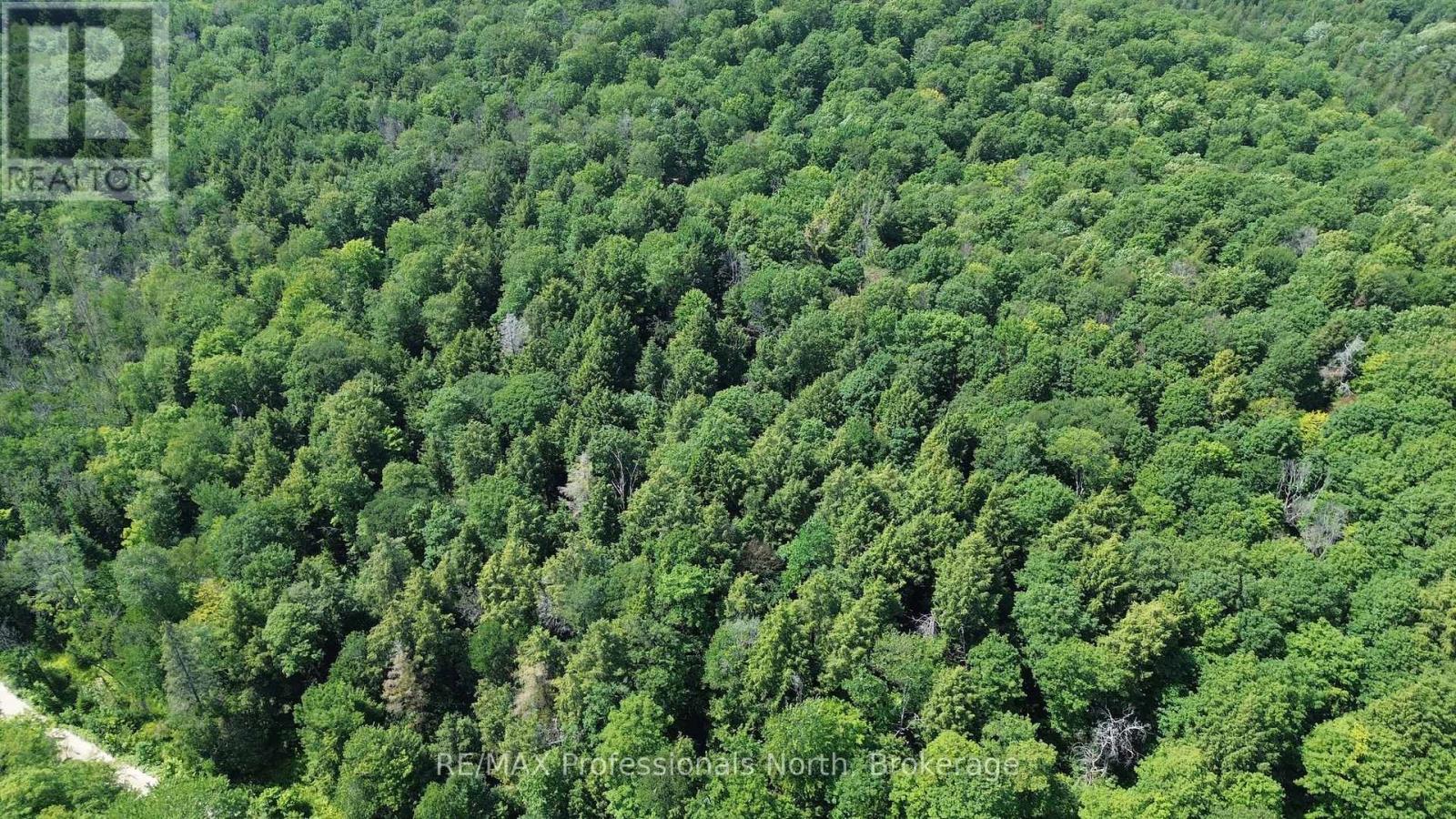 Pl6 Kennaway Road, Dysart Et Al, Ontario  K0M 1S0 - Photo 10 - X13577698