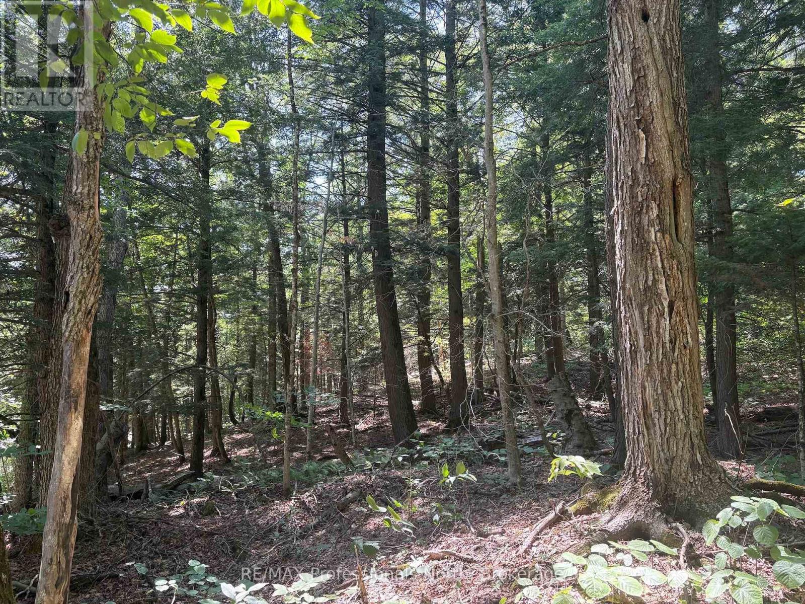 Pl6 Kennaway Road, Dysart Et Al, Ontario  K0M 1S0 - Photo 14 - X13577698
