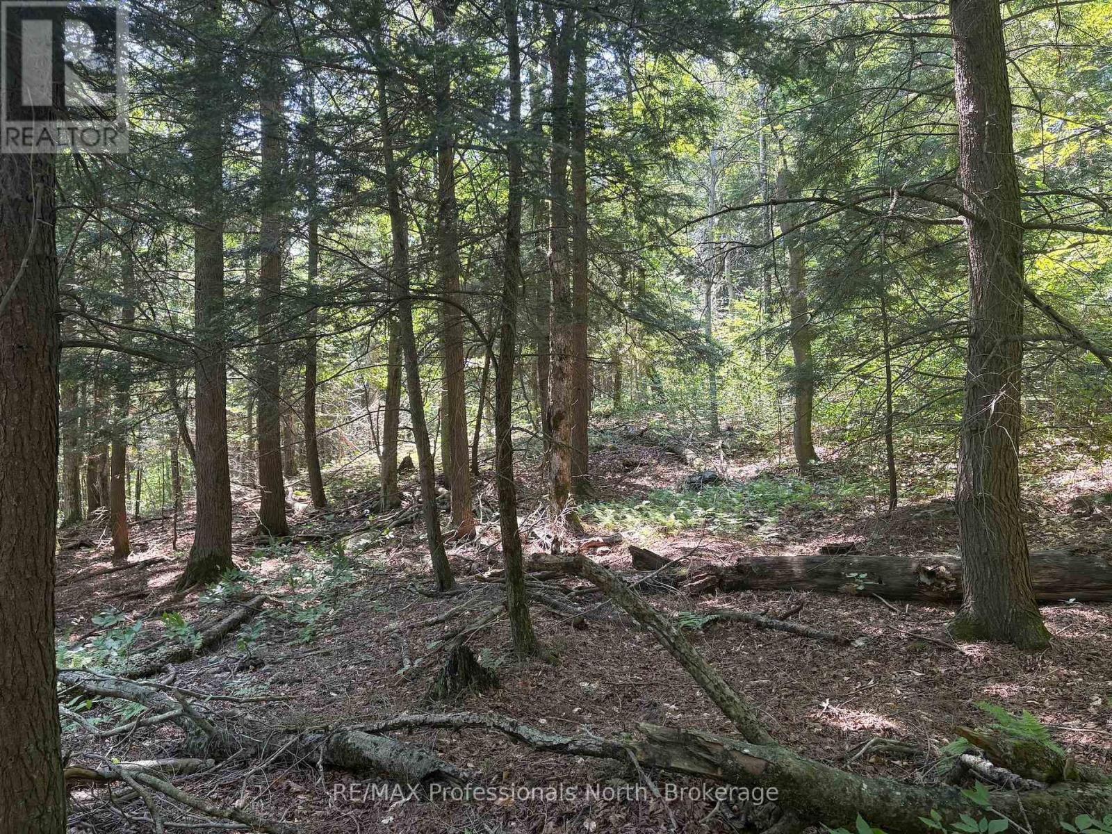 Pl6 Kennaway Road, Dysart Et Al, Ontario  K0M 1S0 - Photo 15 - X13577698
