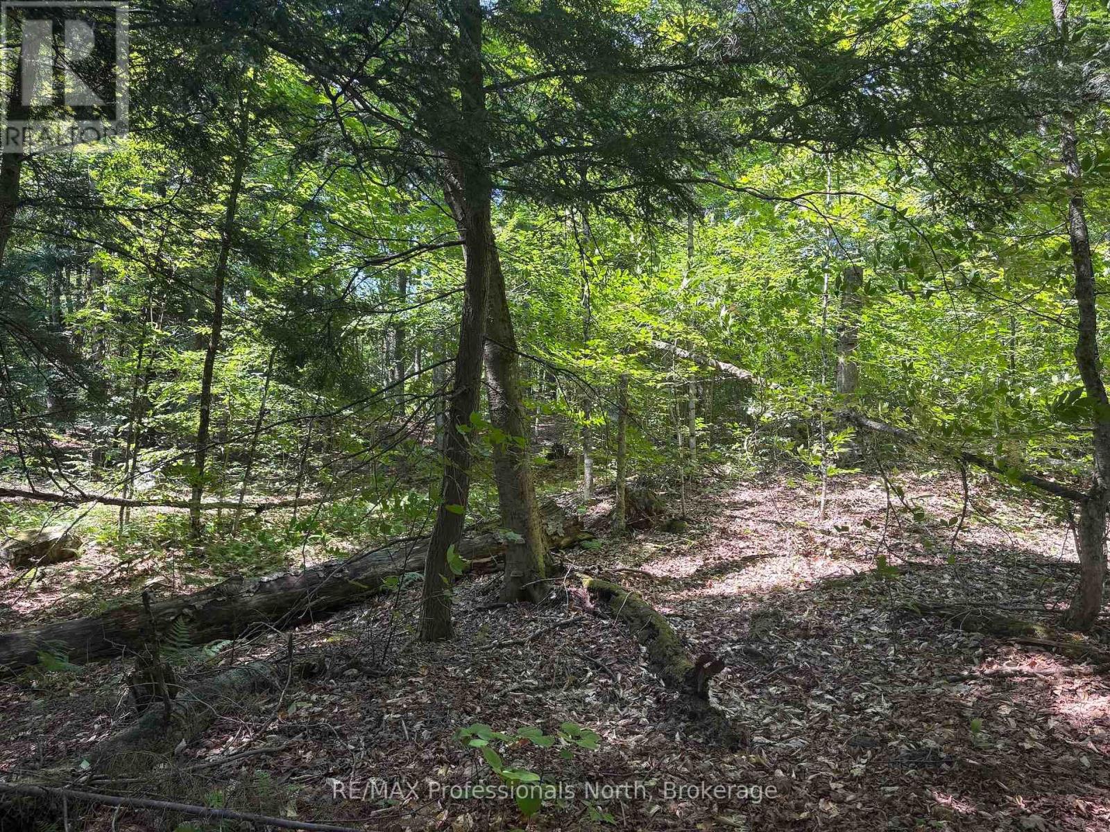 Pl6 Kennaway Road, Dysart Et Al, Ontario  K0M 1S0 - Photo 16 - X13577698