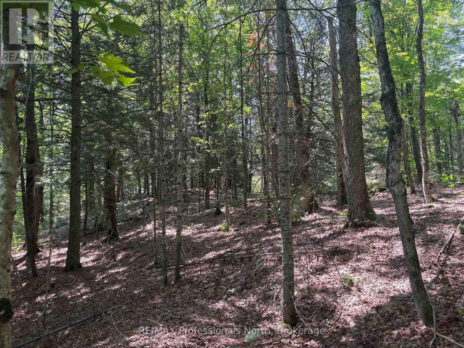 Pl6 Kennaway Road, Dysart Et Al, Ontario  K0M 1S0 - Photo 17 - X13577698