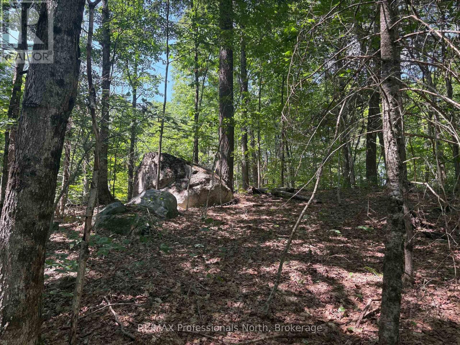 Pl6 Kennaway Road, Dysart Et Al, Ontario  K0M 1S0 - Photo 18 - X13577698