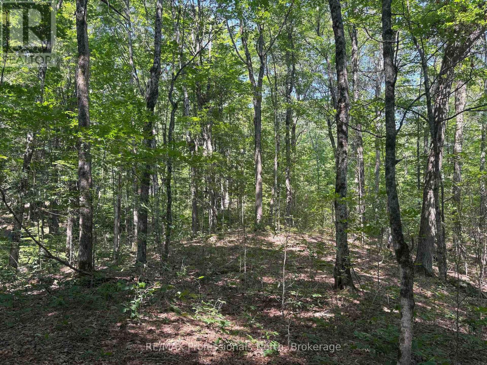 Pl6 Kennaway Road, Dysart Et Al, Ontario  K0M 1S0 - Photo 19 - X13577698