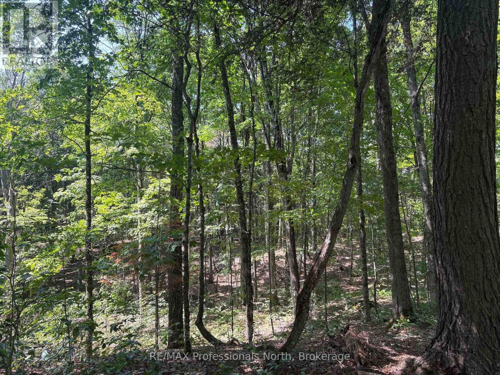 Pl6 Kennaway Road, Dysart Et Al, Ontario  K0M 1S0 - Photo 20 - X13577698