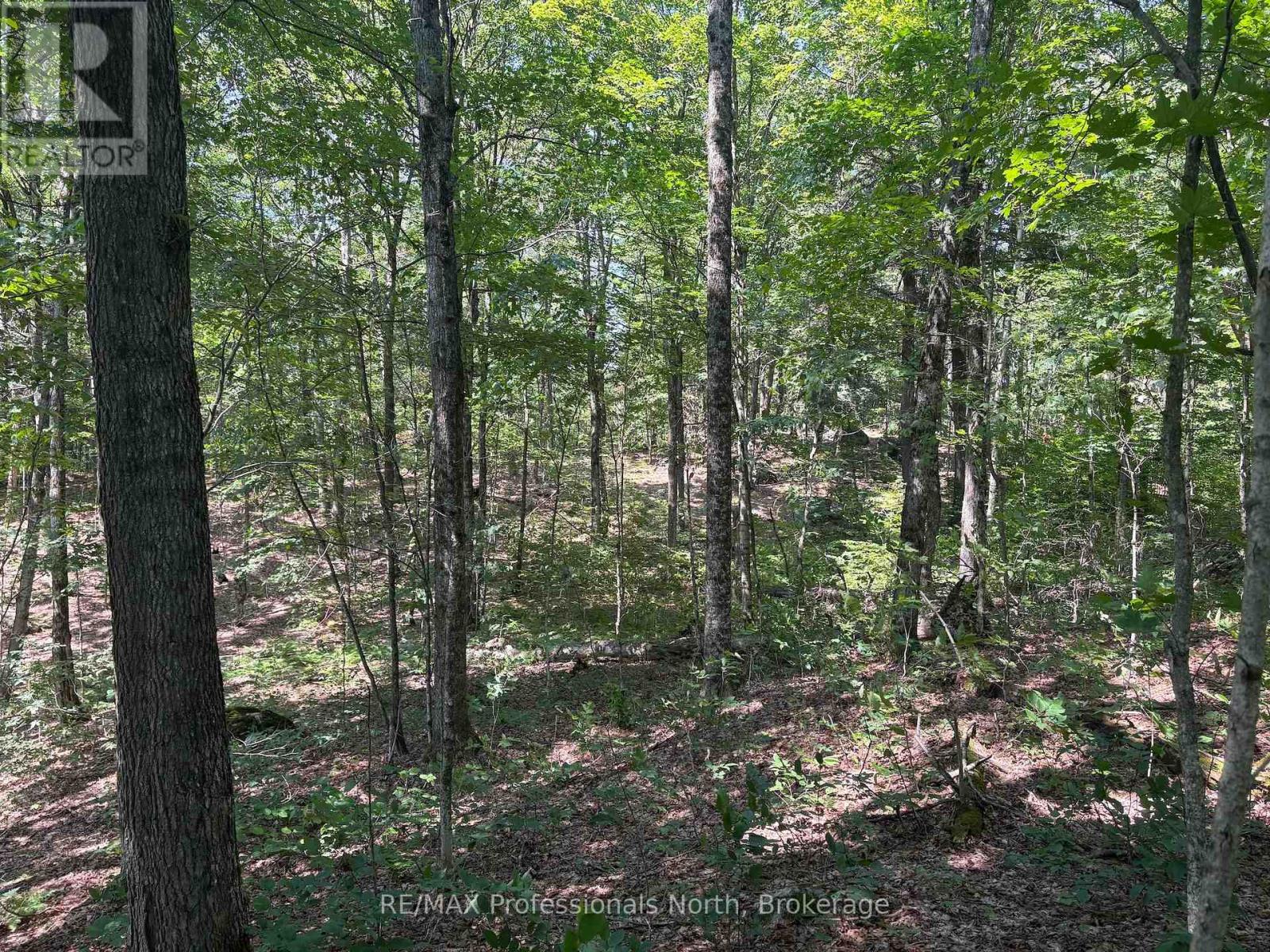 Pl6 Kennaway Road, Dysart Et Al, Ontario  K0M 1S0 - Photo 22 - X13577698
