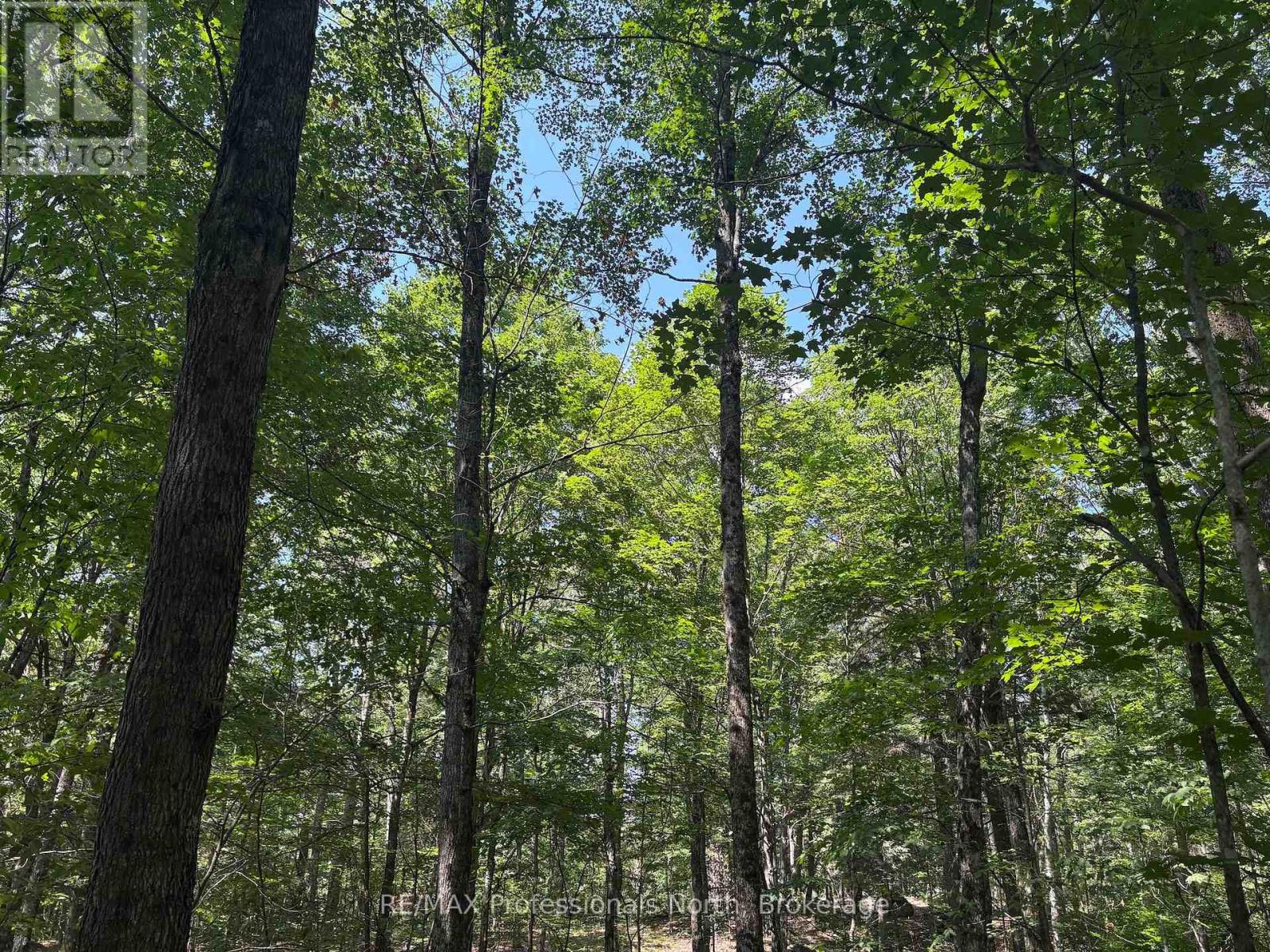 Pl6 Kennaway Road, Dysart Et Al, Ontario  K0M 1S0 - Photo 23 - X13577698