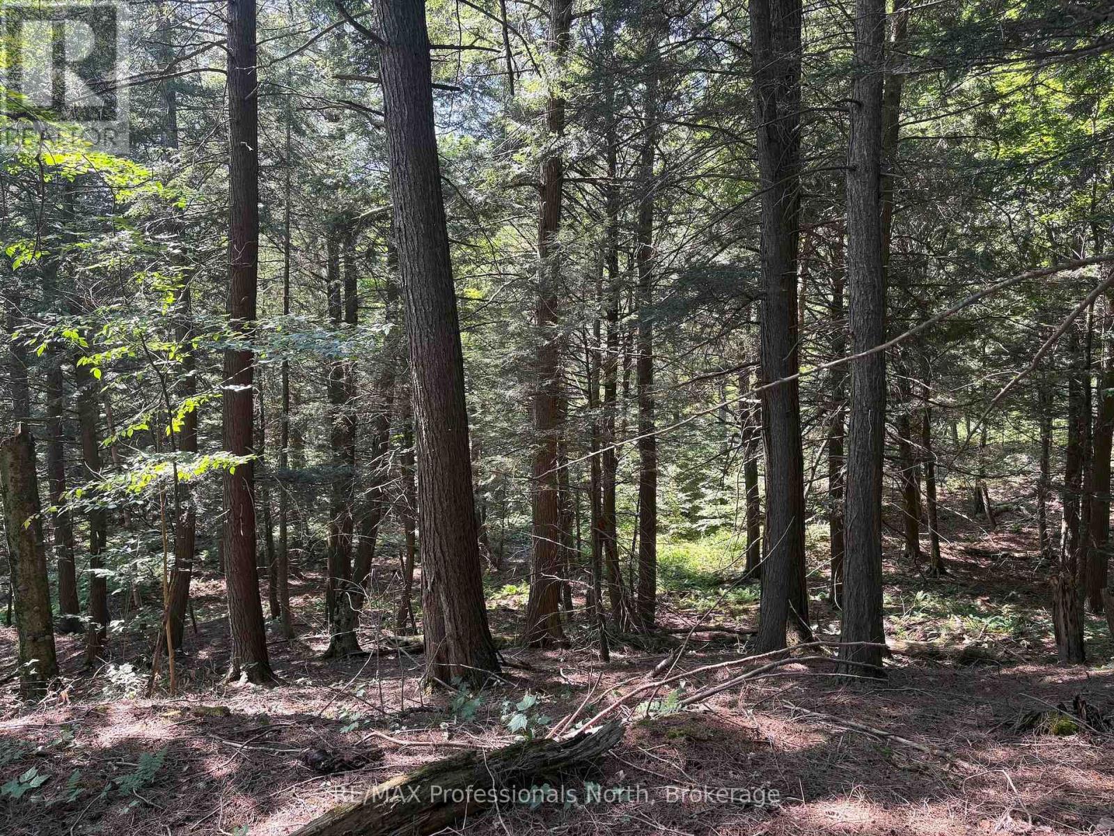 Pl6 Kennaway Road, Dysart Et Al, Ontario  K0M 1S0 - Photo 24 - X13577698