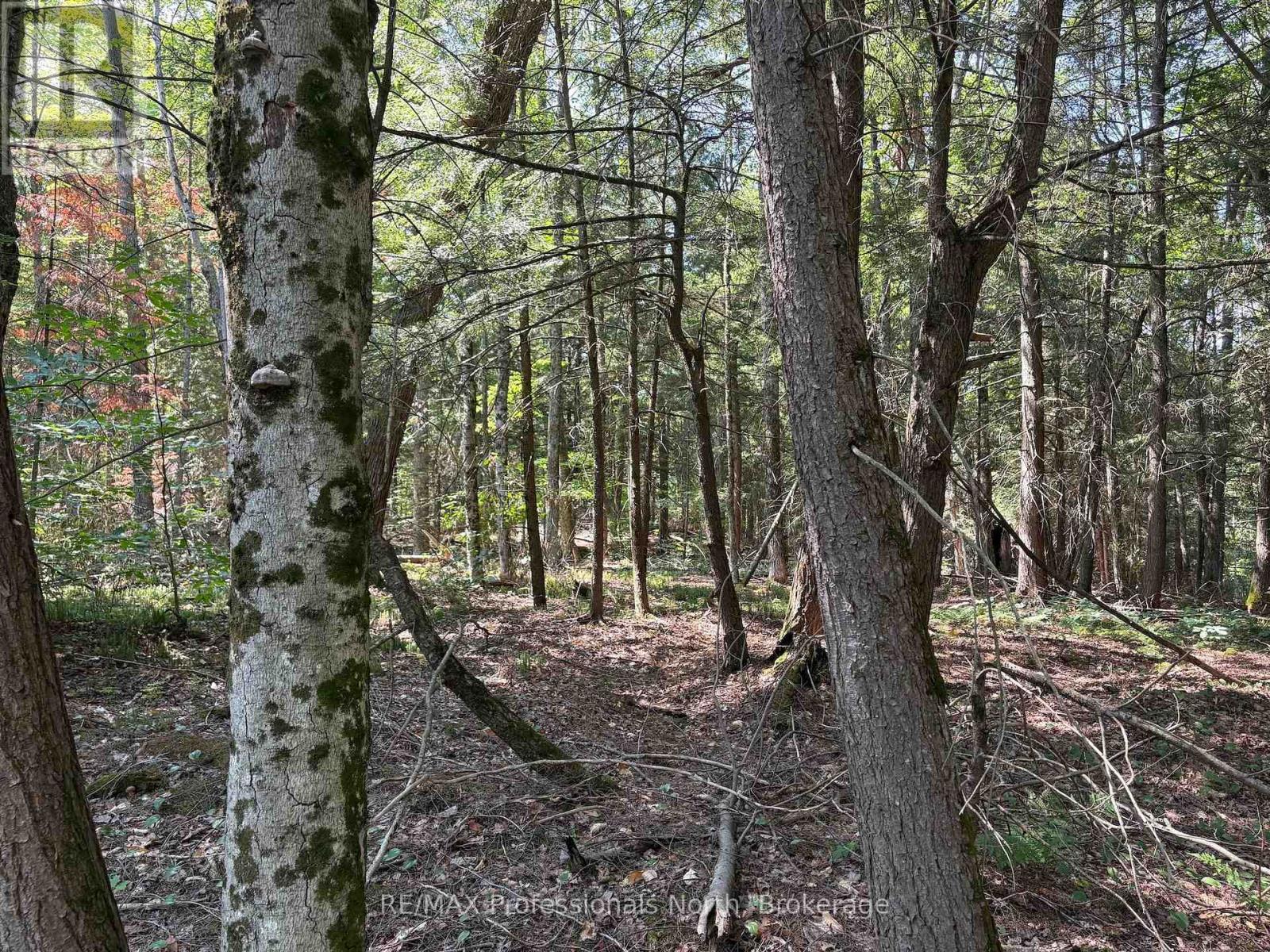 Pl6 Kennaway Road, Dysart Et Al, Ontario  K0M 1S0 - Photo 26 - X13577698