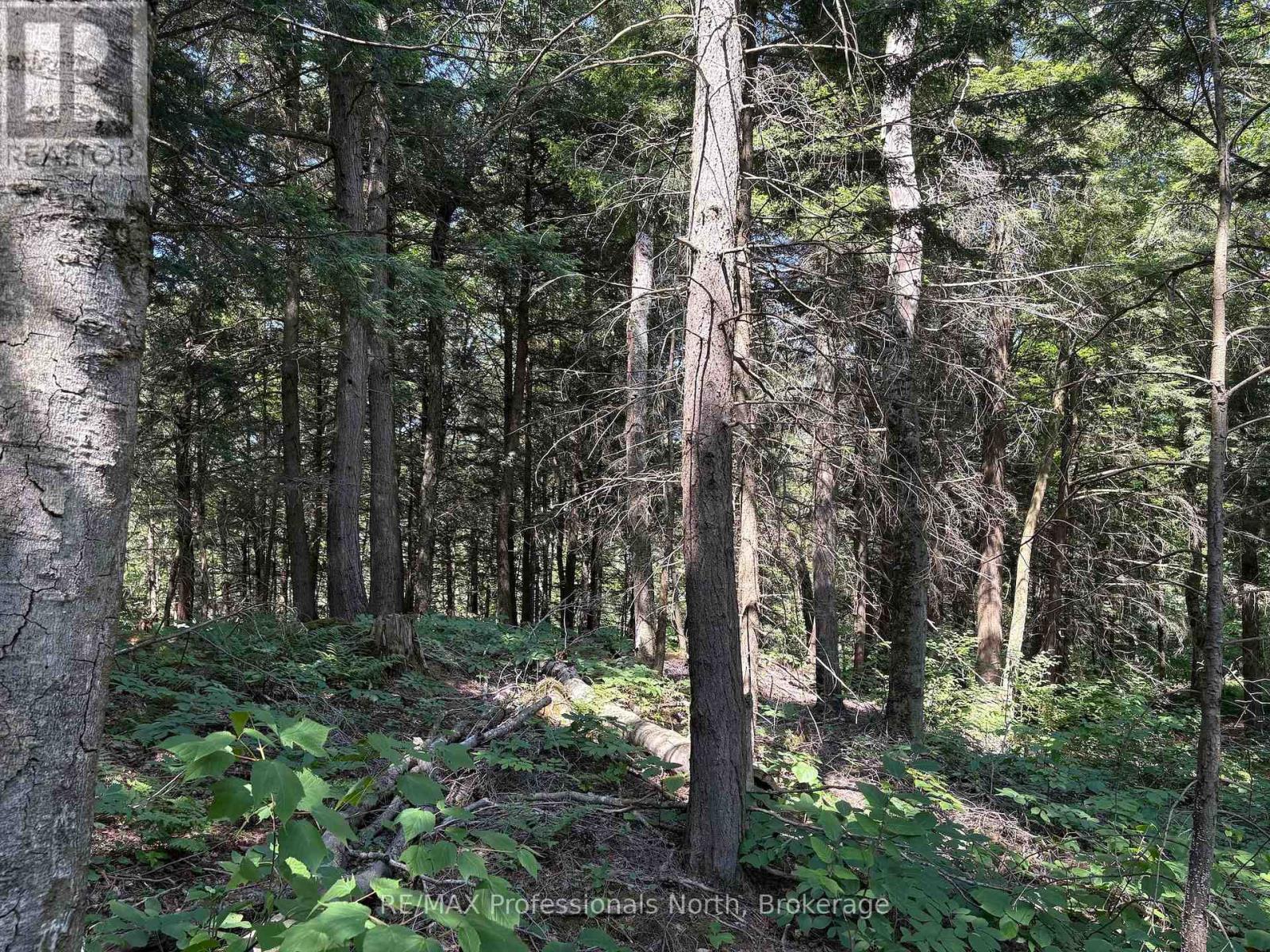 Pl6 Kennaway Road, Dysart Et Al, Ontario  K0M 1S0 - Photo 27 - X13577698