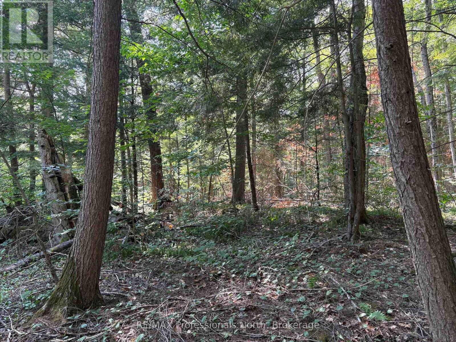 Pl6 Kennaway Road, Dysart Et Al, Ontario  K0M 1S0 - Photo 28 - X13577698