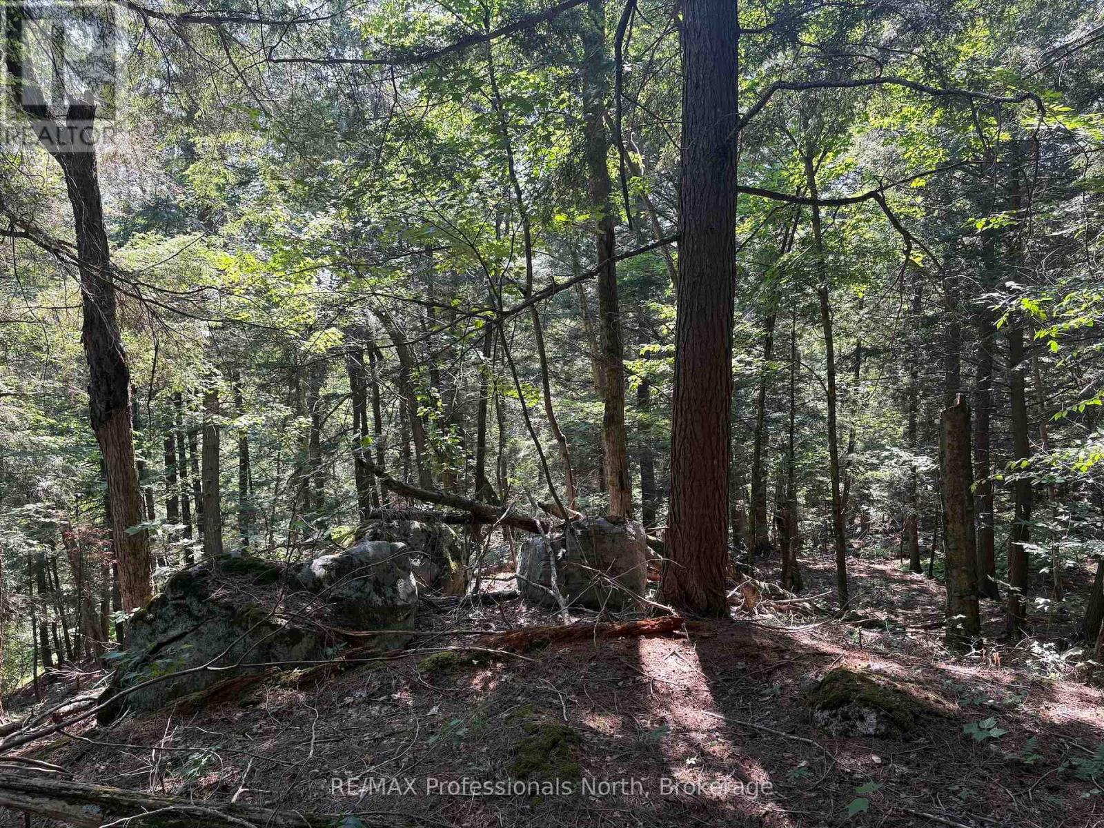 Pl6 Kennaway Road, Dysart Et Al, Ontario  K0M 1S0 - Photo 29 - X13577698