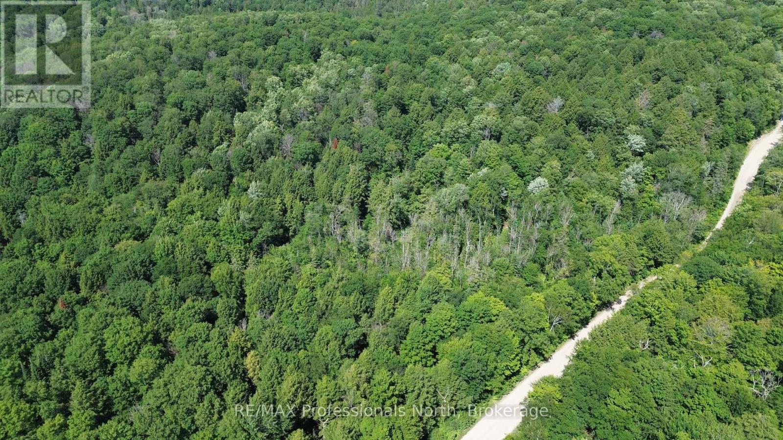 Pl6 Kennaway Road, Dysart Et Al, Ontario  K0M 1S0 - Photo 6 - X13577698
